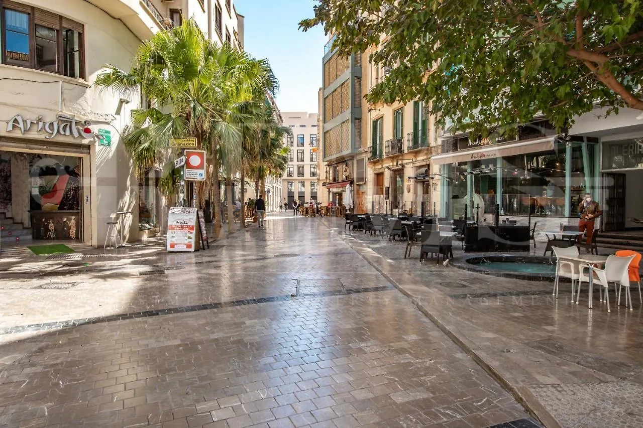 Uncibay Deluxe Lejlighed Málaga Spanien